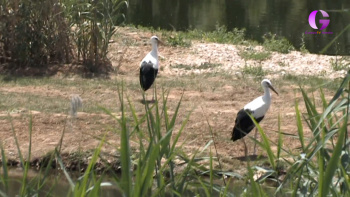 Día Mundial de los Humedales