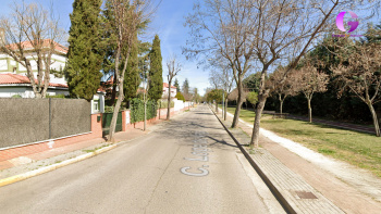 Reforma integral de la calle Lope de Vega