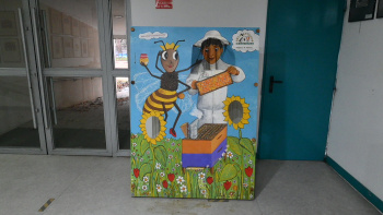 Descubrimos el Museo de las Apiculturas del Mundo de Azuqueca