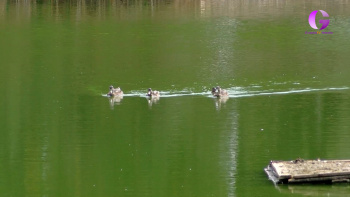 Este sábado construyendo comederos en la Reserva Ornitológica
