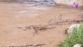 Vigilantes, pero sin grandes problemas ,de momento, del río a su paso por el Corredor
