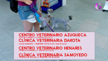 Nueva campaña de vacunación de animales en Azuqueca