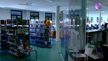 Talleres de verano en la biblioteca Almudena Grandes