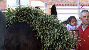 Resumen Fiestas San Isidro Azuqueca
