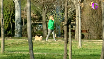 Campaña para limpieza de los orines de los perros en la vía pública