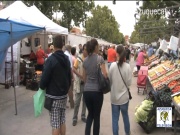 El Ayuntamiento de Azuqueca renueva las licencias del mercado de los miércoles