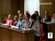 Resumen del Pleno de noviembre